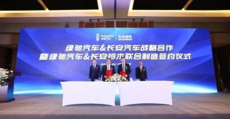 把国资拖入“黑洞” 绿驰会是赛麟第二吗？
